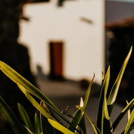 Casa Carballas Isabel * 伊科德·德·洛斯·维诺斯