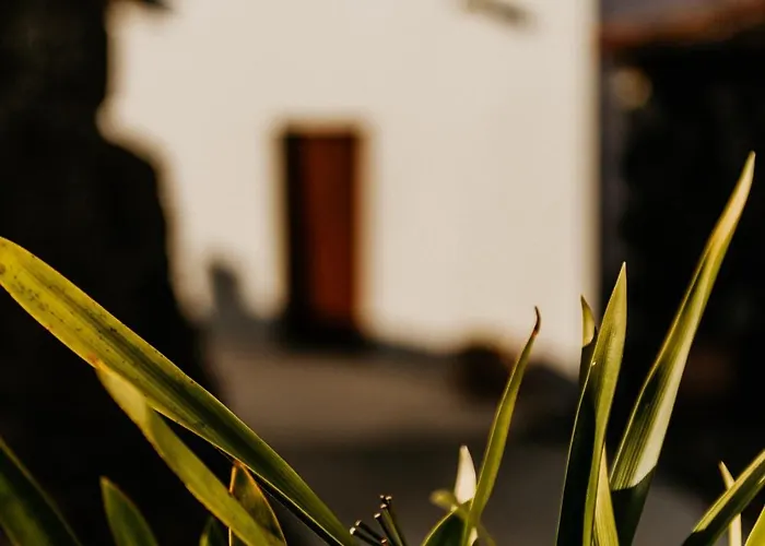 Casa Carballas Isabel * イコー・デ・ロス・ビノス