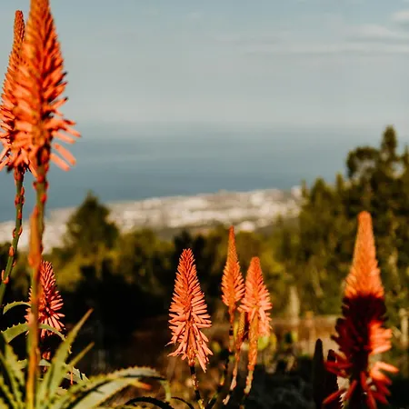 Casa Carballas Isabel شاليه *